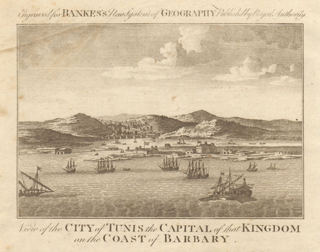 View of the city of Tunis, coast of Barbary. Tunisia. BANKES 1789 old print